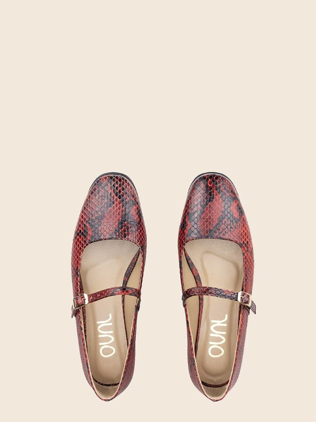 Nova in Leather - Crimson Python